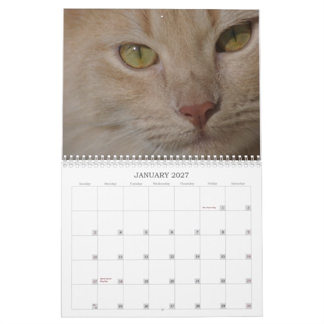 Mural Calendrier d'animaux de délivrance (Jan 2027)