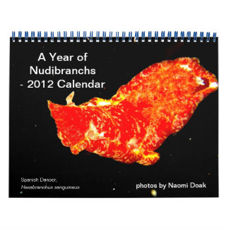 Mural Calendrier de 12 mois avec photos de Nudibranchs
