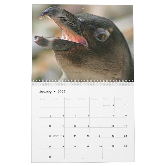 Mural Calendrier de 2011 animaux créé par la galerie (Jan 2027)