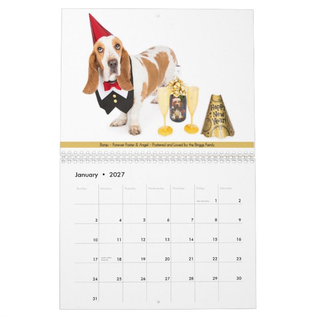 Mural Calendrier de 2014 AZBHR (Jan 2027)