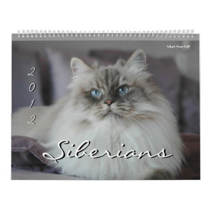 Mural Calendrier de 2014 de Sibériens chats et de