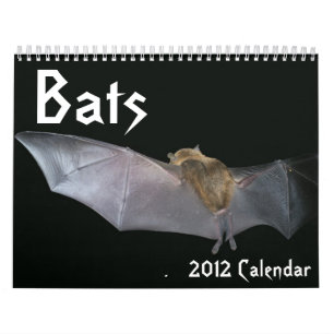 Mural Calendrier de battes
