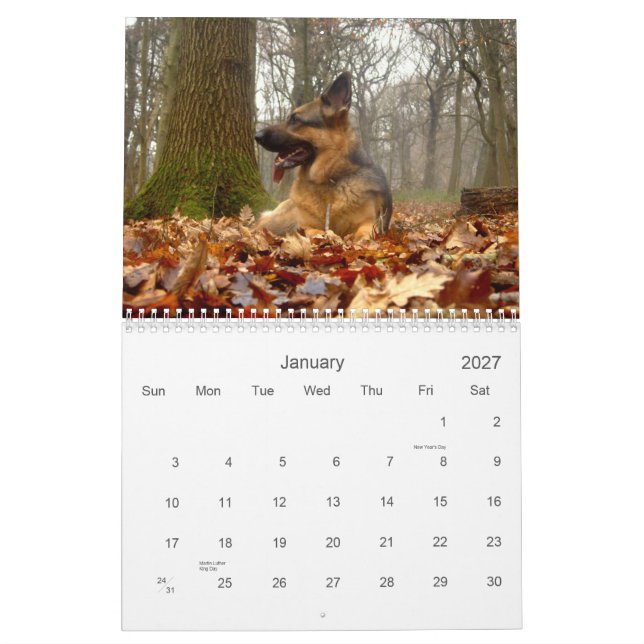 Mural Calendrier de berger (GSD) allemand (Jan 2027)