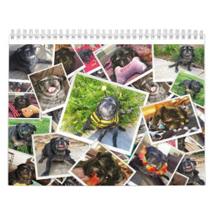 Mural Calendrier de Bumblesnot 2014