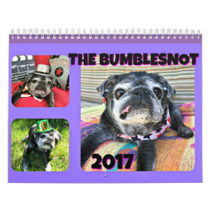 Mural Calendrier de Bumblesnot 2017
