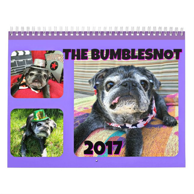 Mural Calendrier de Bumblesnot 2017 (Protection)