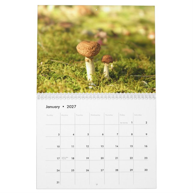 Mural Calendrier de champignon (Jan 2027)