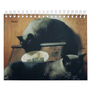 Mural Calendrier de chat