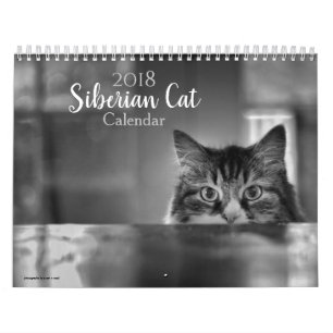 Mural Calendrier de chat de 2018 Sibériens