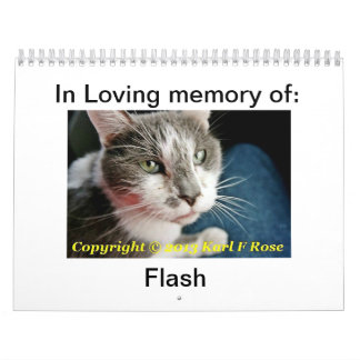 Mural Calendrier de chat imprimé par coutume