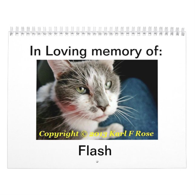 Mural Calendrier de chat imprimé par coutume (Protection)