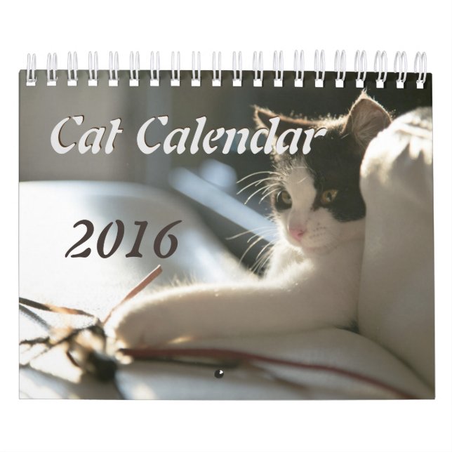 Mural Calendrier de chats (Protection)