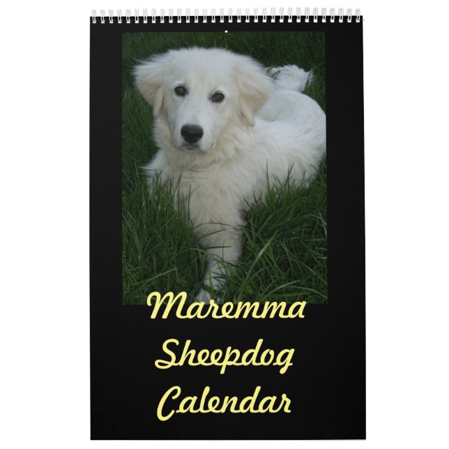 Mural Calendrier de chien de berger de Maremma (Protection)