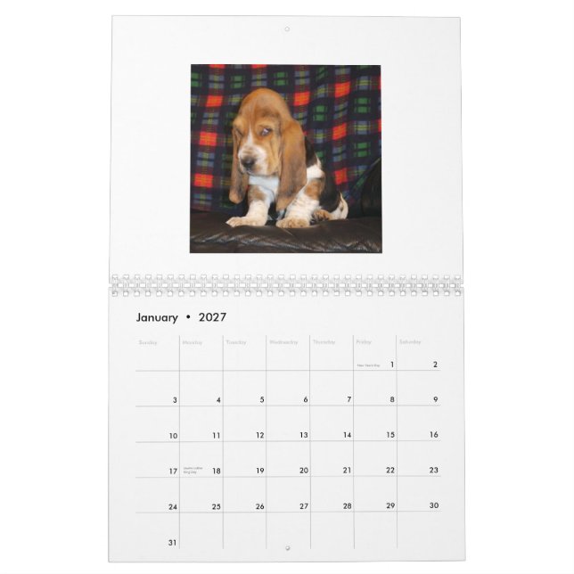 Mural Calendrier de chiot de Basset Hound (Jan 2027)