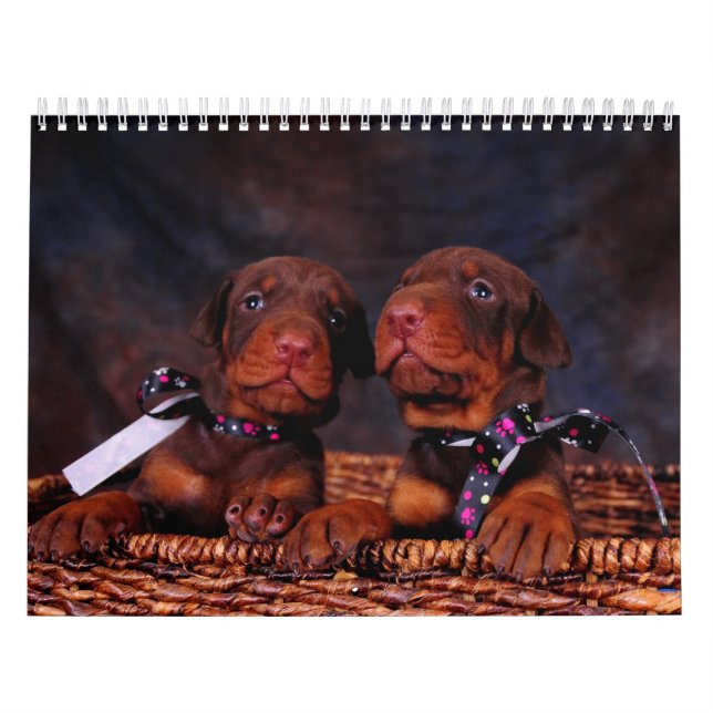 Mural Calendrier de chiot de dobermann (Protection)