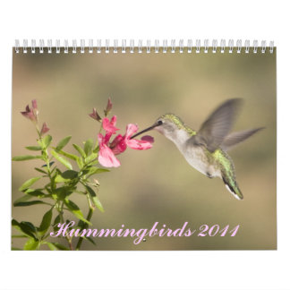 Mural Calendrier de colibri
