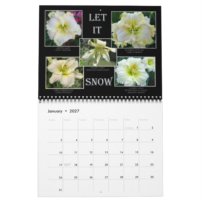 Mural Calendrier de Daylily de 2014 AHS (Jan 2027)