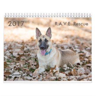 Mural Calendrier de délivrance de 2017 R.A.V.E.