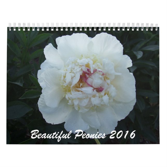 Mural Calendrier de fleur des pivoines 2016 (Protection)