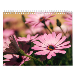 Mural Calendrier de fleurs