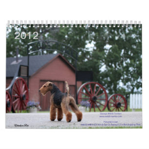 Mural Calendrier de gallois Terrier 2012 par Darwyn