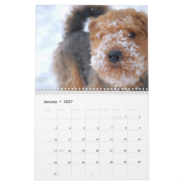 Mural Calendrier de gallois Terrier 2012 par Darwyn (Jan 2027)
