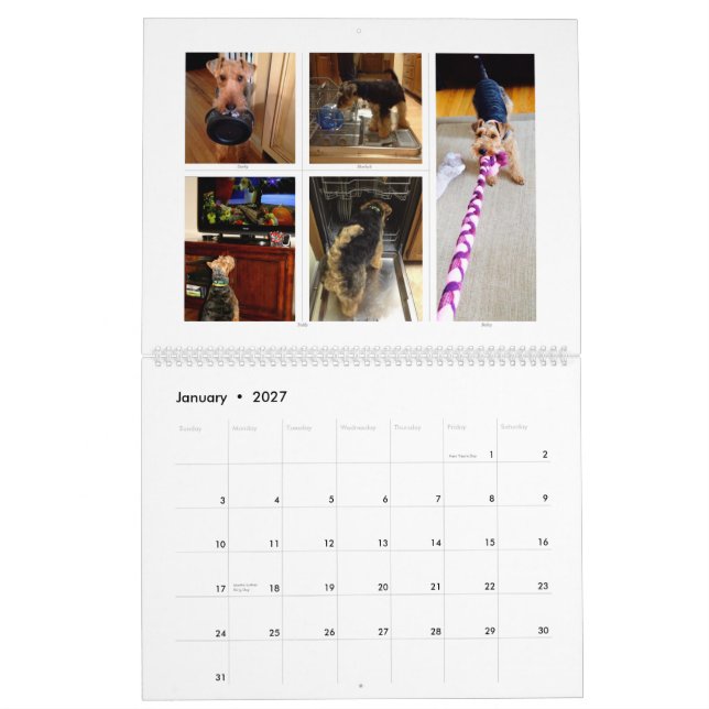 Mural Calendrier de gallois Terrier 2015 par SBWT (Jan 2027)