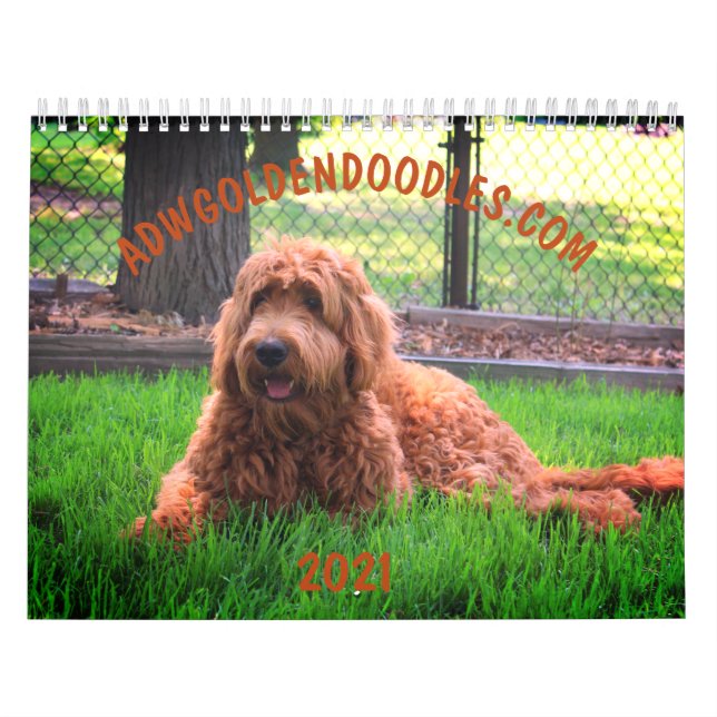 Mural Calendrier de Goldendoodle (Protection)