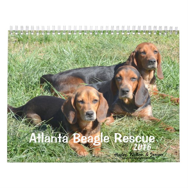 Mural Calendrier de la délivrance 2016 de beagle (Protection)