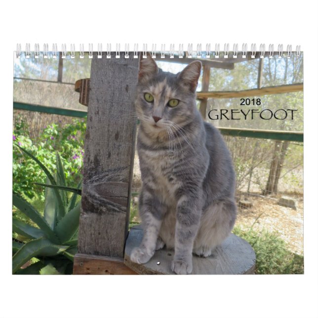 Mural Calendrier de la délivrance 2018 de chat de (Protection)