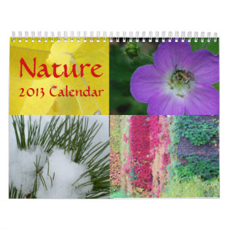 Mural Calendrier de la nature 2013