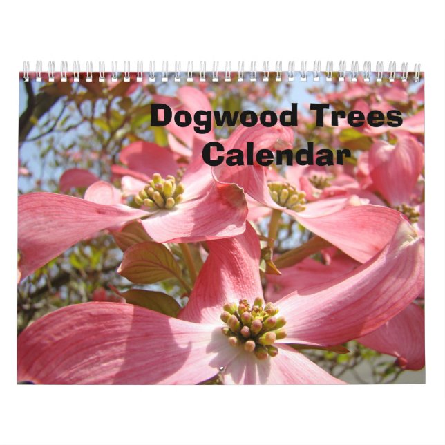 Mural Calendrier de l'arbre de cornouiller rose Fleurs d (Protection)