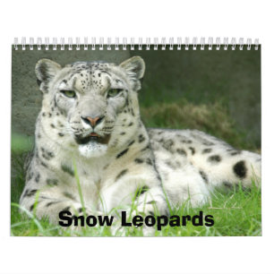 Mural Calendrier de léopards de neige, léopards de nei