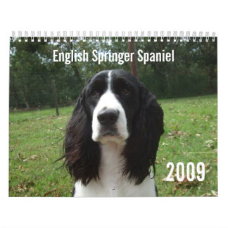 Mural Calendrier de l'épagneul de springer anglais 2009