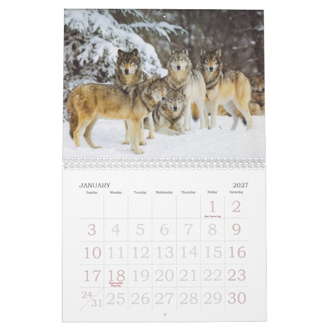 Mural Calendrier de loup (Jan 2027)