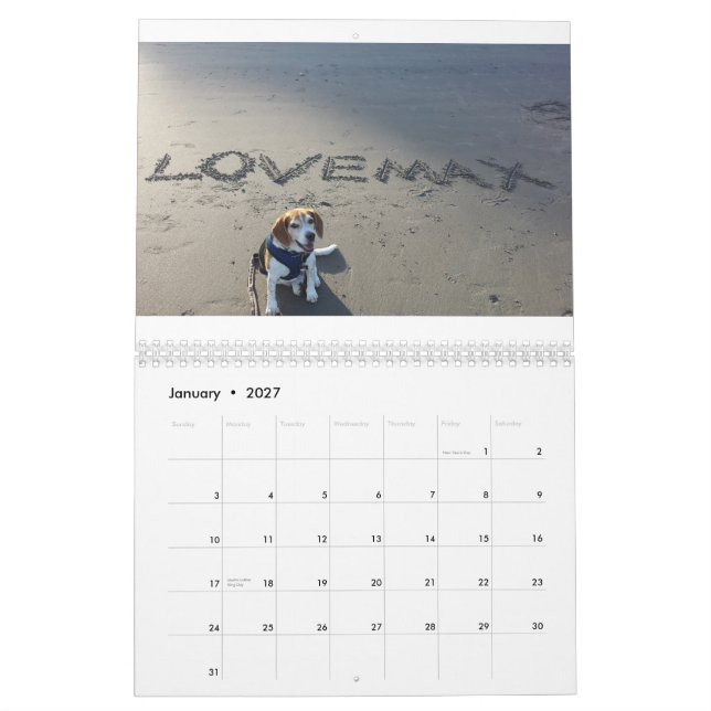 Mural Calendrier de LOVEMAX 2015 (Jan 2027)