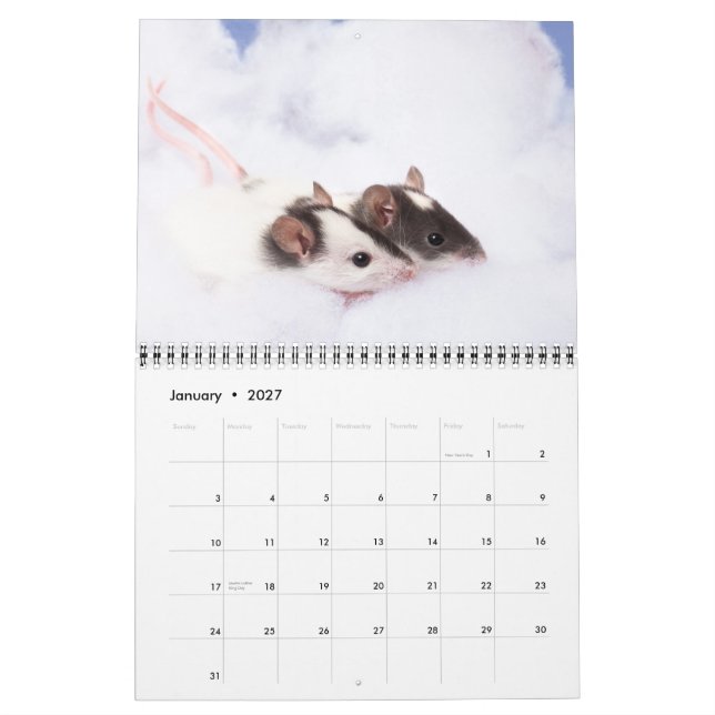 Mural Calendrier de mauvais poil curieux 2011 (Jan 2027)