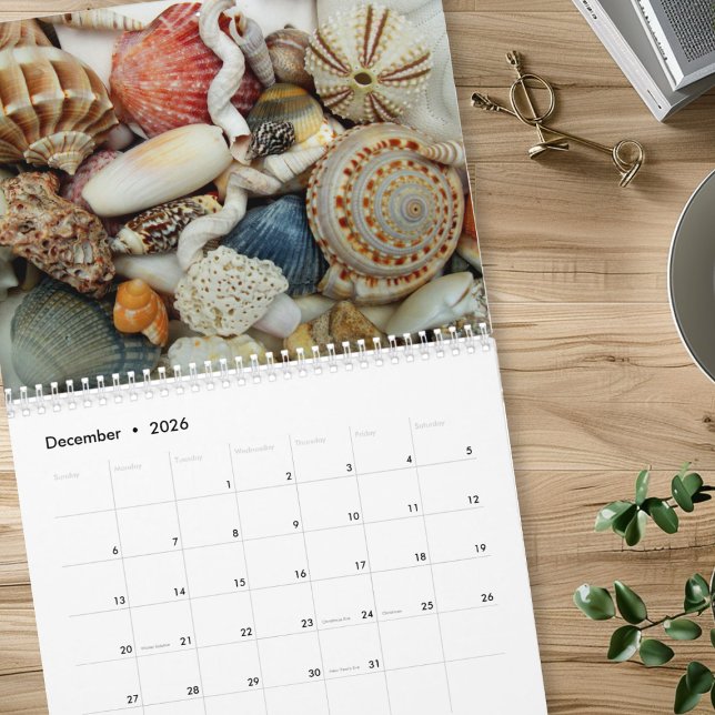 Mural Calendrier de photographie de coquillages de l'ann (Créateur téléchargé)