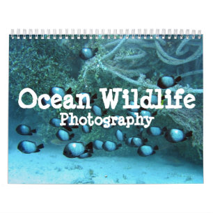 Mural Calendrier de photographie de faune d'océan