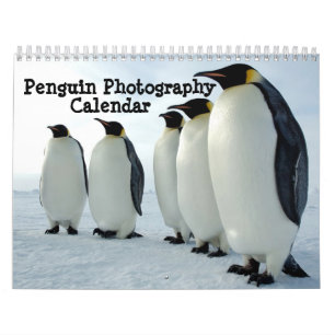 Mural Calendrier de photographie de pingouin