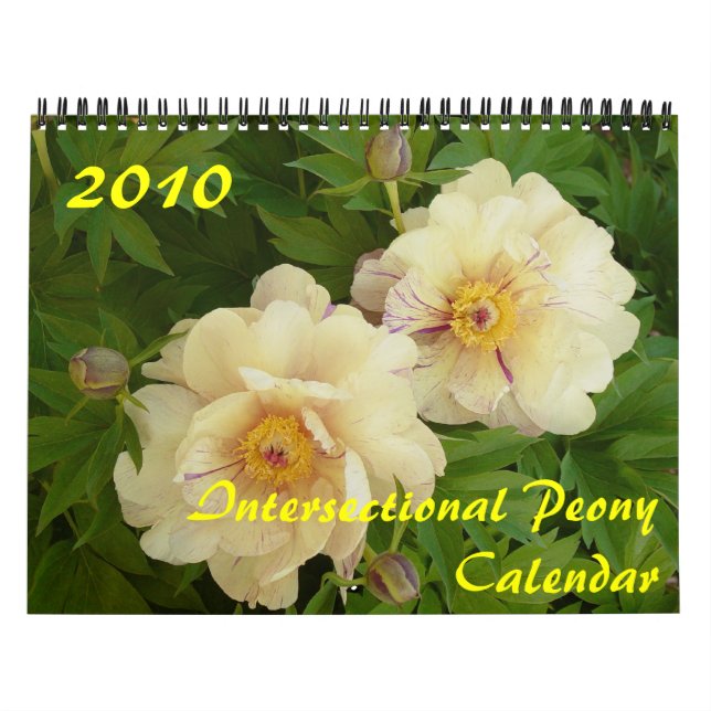 Mural Calendrier de pivoines intersectionnelles 2010 (Protection)