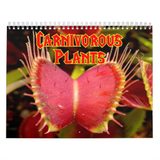 Mural Calendrier de plantes carnivores
