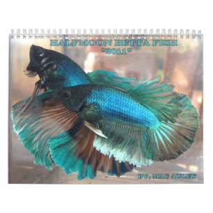 Mural Calendrier de poissons de Betta de demi-lune