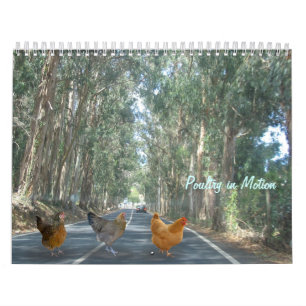 Mural Calendrier de poulet