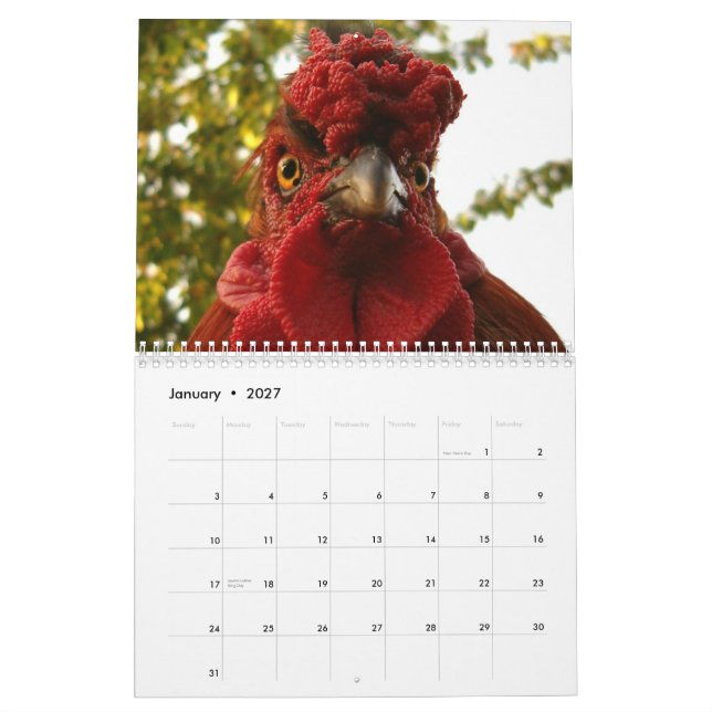 Mural Calendrier de poulets et de coqs (Jan 2027)