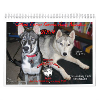Mural Calendrier de SASHA 2009