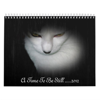 Mural Calendrier de Shakira 2012 !