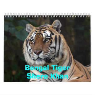 Mural Calendrier de Shere-Khan, Bengale TigerShere Khan