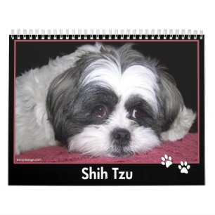 Mural Calendrier de Shih Tzu