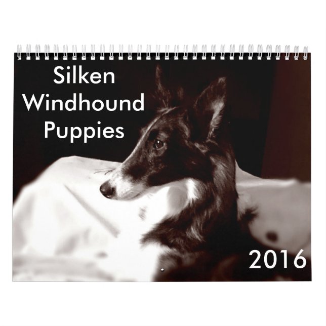 Mural calendrier de soie de 4 2016 chiots de Windhound (Protection)